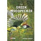 The Green Woodpecker