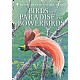 Birds of Paradise and Bowerbirds