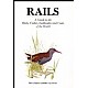Rails