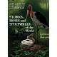 Storks, Ibises and Spoonbills of the World