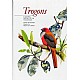 Trogons