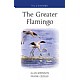 The Greater Flamingo