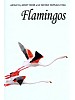 Flamingos