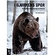 I bjrnens spor