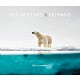 Polar Bears & Humans