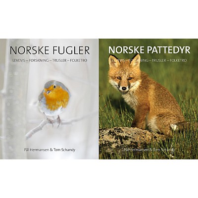 Norske fugler