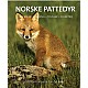 Norske pattedyr