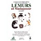 Lemurs of Madagascar