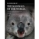 Handbook of the Mammals of the World, vol. 5.