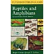 A Field Guide to Reptiles and Amphibians: Eastern and Central North America