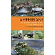 Amphibians of Europe, North Africa & the Middle East