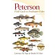 Peterson Field Guide to Freshwater Fishes of North America North of Mexico