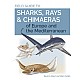 Field Guide to Sharks, Rays & Chimaeras