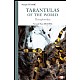 Tarantulas of the world
