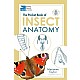 The Pocket Book of Insect Anatomy