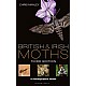 British and Irish Moths