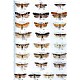 Microlepidoptera of Europe vol. 3