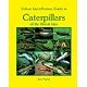 Colour Identification Guide to Caterpillars of the British Isles
