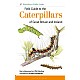 Field Guide to the Caterpillars of Great Britain and Ireland