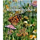 Sommerfuglehave