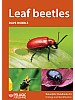 Leaf beetles