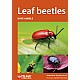Leaf beetles