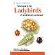 Field Guide to the Ladybirds of Great Britain and Ireland