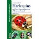 A Field Guide to Harlequins and Other Common Ladybirds of Britain and Ireland