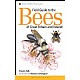 Field Guide to the Bees of Great Britain and Ireland
