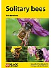 Solitary bees