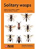 Solitary wasps