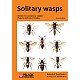 Solitary wasps