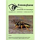 Identification Key to the European Species of the Bee Genus Nomada Scopoli