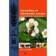 Hoverflies of Northwest Europe