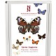 Fjrilar: Dagfjrilar, Hesperiidae - Nymphalidae