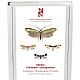 Fjrilar: Kkfjrilar - sckspinnere. Micropterigidae - Psychidae