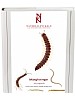 Mngfotingar Myriapoda (tusenben)