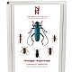 Skalbaggar: Lnghorningar. Coleoptera -Cerambycidae