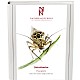 Stvslndor. Psocoptera