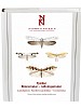 Fjrilar: Bronsmalar - rullvingemalar. Roeslerstammiidae - Lyonetiidae