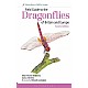 Field Guide to Dragonflies of Great Britain and Europe