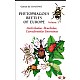 Phytophagous Beetles of Europe