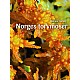 Norges torvmoser