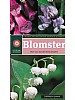 Blomster