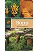 Sopp - Enkel og sikker artsbestemmelse