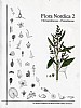 Flora Nordica vol.2.