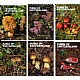 Fungi of Switzerland vol.1-6 set