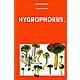 Fungi Europaei Vol. 6