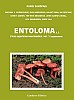 Fungi Europaei Vol. 5b