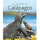 A Lifetime in Galapagos